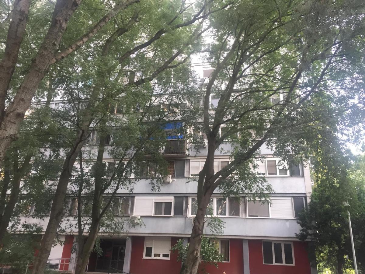 Apartment Ljiljana Белград Екстериор снимка